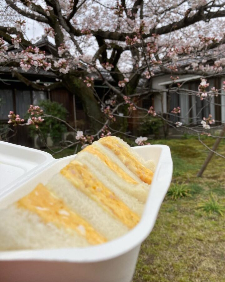 尾州愛溢れる「桜を見る会」一宮市　
